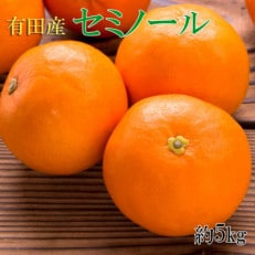 和歌山有田産セミノールオレンジ約5kg(サイズおまかせ 秀品) (紀美野町)