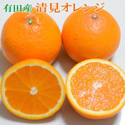 【濃厚】有田産清見オレンジ約5kg(M～3Lサイズおまかせ)ご家庭用(紀美野町)