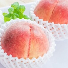 【産直・人気の特産品】和歌山の桃　約4kg・秀品【2023年度発送分】(紀美野町)