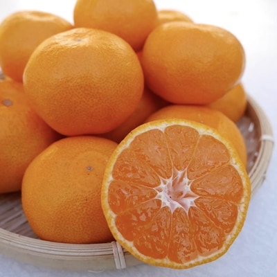 【味好農園】　季節のみかん　約10kg(S～2Lサイズ)