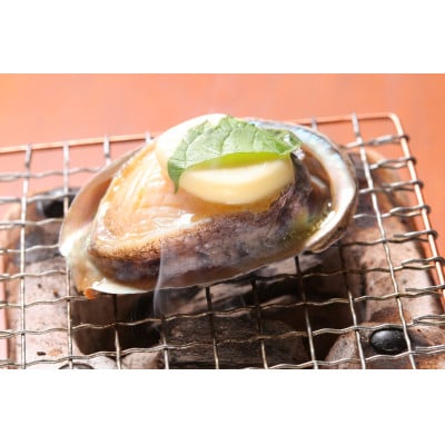 やわコリ食感紀州活アワビ 【8個入】