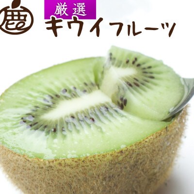 厳選 キウイ1kg+250g(傷み補償分)【扁平果】