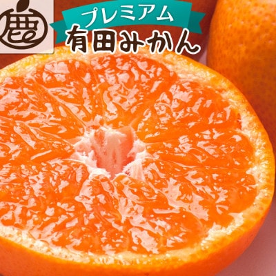 プレミアム 有田みかん2.5kg+250g(傷み補償分)【光センサー選果】