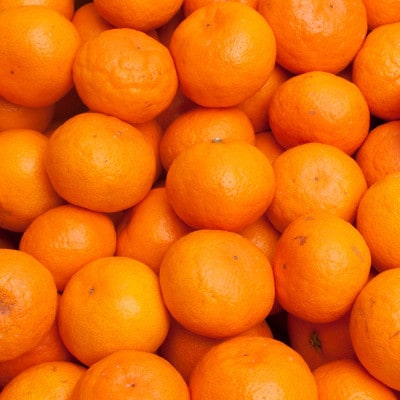 プレミアム 完熟有田みかん5kg+250g(傷み補償分)【光センサー選果】