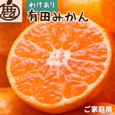 家庭用 有田みかん10kg+250g(傷み補償分)【光センサー選果】【訳あり】