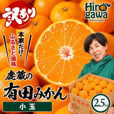 家庭用 小さな有田みかん 2.5kg+250g(傷み補償分)【光センサー選果】【訳あり】