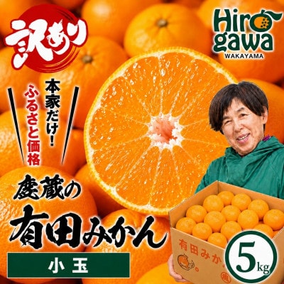家庭用 小さな有田みかん 5kg+250g(傷み補償分)【光センサー選果】【訳あり】