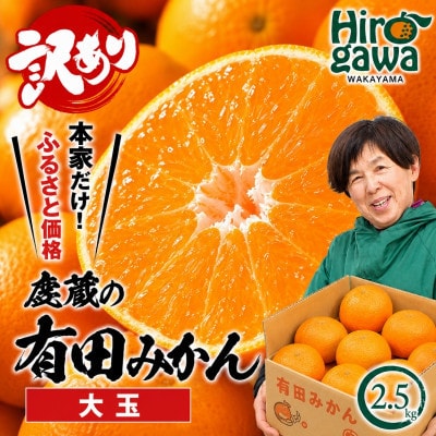家庭用 大きな有田みかん 2.5kg+250g(傷み補償分)【光センサー選果】【訳あり】