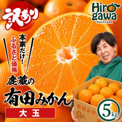 家庭用 大きな有田みかん 5kg+250g(傷み補償分)【光センサー選果】【訳あり】
