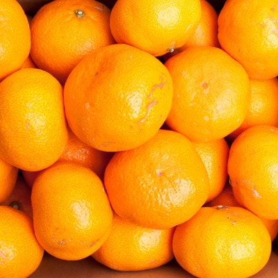 家庭用 大きな有田みかん 5kg+250g(傷み補償分)【光センサー選果】【訳あり】