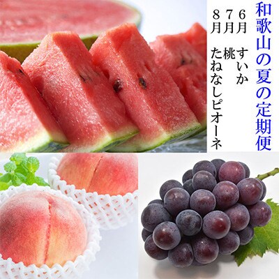 【発送月固定定期便】和歌山の夏の人気フルーツ定期便(すいか・桃・ピオーネ)全3回