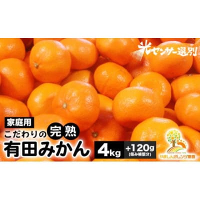 【25年10月より順次発送】完熟有田みかん4kg+120g(傷み補償分)ご家庭用nuk004-c-4