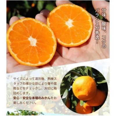 【25年10月より順次発送】完熟有田みかん8kg+240g(傷み補償分)ご家庭用nuk004-c-8