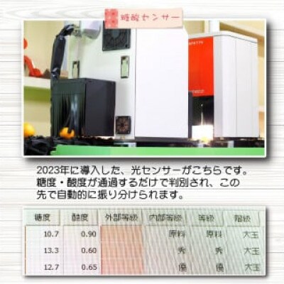 【25年10月～順次発送】有田みかんプレミアム 3kg　糖度12度以上2S～M nuk004-p-3