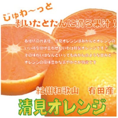 【2026年3月より順次発送】果汁たっぷり!清見オレンジ 約10kg nuk011-r-10