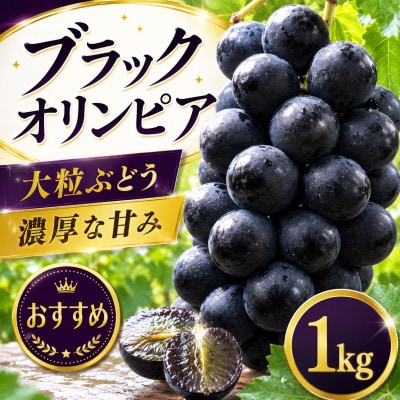 ブラックオリンピア 約1kg(2～4房) (nuk502-bla-1)