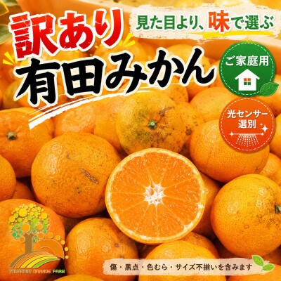 【訳あり】有田みかん 約5kg サイズ混合 (nuk004-noka-c5A)