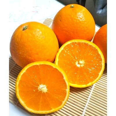 清見オレンジ みずみずしい果汁 約4kg (SS～2L混合サイズ) (nuk011-r-4)