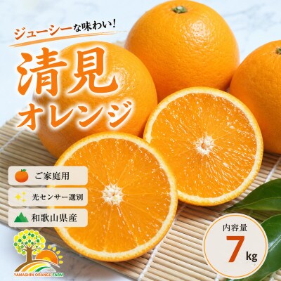 清見オレンジ みずみずしい果汁 約7kg (SS～2L混合サイズ) (nuk011-r-7)