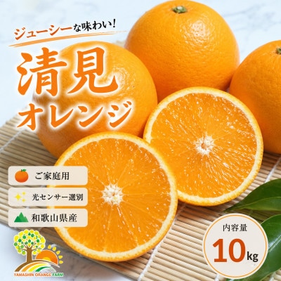 清見オレンジ みずみずしい果汁 約10kg (SS～2L混合サイズ) (nuk011-r-10)