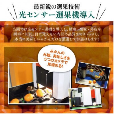 濃厚な味わい ゆら早生みかん 約10kg (nuk003-yura-10)