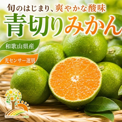 こだわりの青切りみかん 農園直送 約7.5kg (nuk001-r-7d5A)