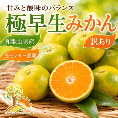 【訳あり】こだわりの極早生みかん 約10kg (nuk003-c-10)