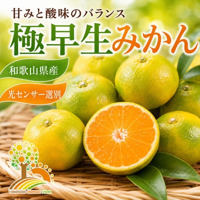 こだわりの極早生みかん 約2kg (nuk003-r-2A)
