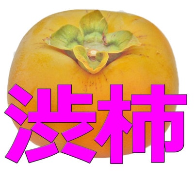 生渋柿たね無 あんぽ柿用T軸枝無約1.5～2kg　6～12玉【2025年10月中旬～順次発送】