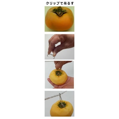吊るし柿用 生渋柿 ひもセット【T字軸枝付or吊るしクリップ付】約9~12果、1.5~2kg入り箱