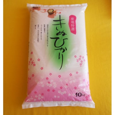【令和6年産】和歌山県産キヌヒカリ　10kg