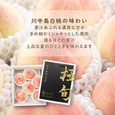 桃先行受付!　【川中島白桃】　(大玉特秀品)　約2kg　6～9個入　こだわり農家厳選!