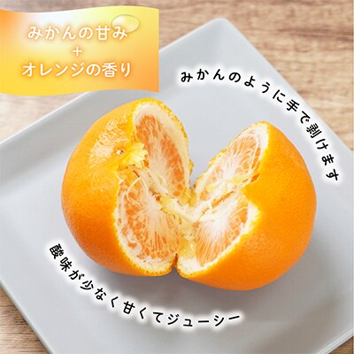 先行受付!　はれひめ(みかんの希少種)　秀品　25個～30個入　約5kg　こだわり農家厳選!