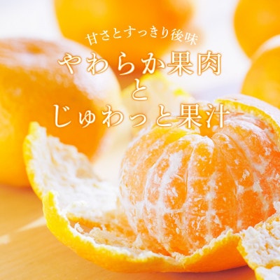 温州みかん先行予約!和歌山県産ミカン約5kg(40個～60個入)秀品　味に自信あり!こだわり農家厳選