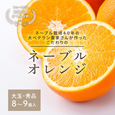 先行予約! 和歌山県産ネーブル 約4kg　大玉!(8個～9個)秀品 こだわり農家厳選