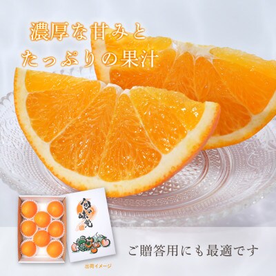 先行予約! 和歌山県産ネーブル 約4kg　大玉!(8個～9個)秀品 こだわり農家厳選