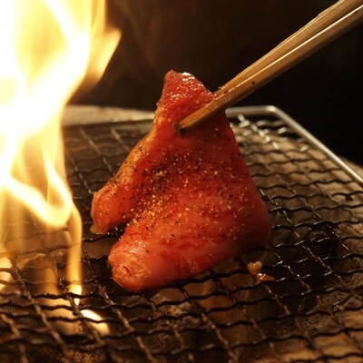 宮崎牛しっとり赤身焼肉カット500g