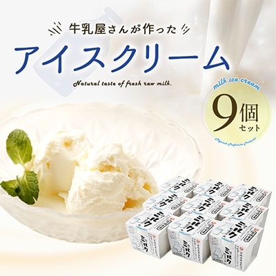牛乳屋さんが作ったアイスクリーム 9個セット