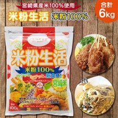 宮崎県産 「グルテンフリー」 米粉100% 400g&times;15パック 6kg