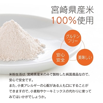 宮崎県産 「グルテンフリー」 米粉100% 400g×15パック 6kg