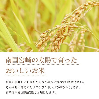 【無洗米】宮崎県令和3年産コシヒカリ・ヒノヒカリ食べ比べ10kgセット