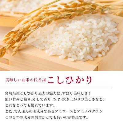 【無洗米】宮崎県令和3年産コシヒカリ10kg