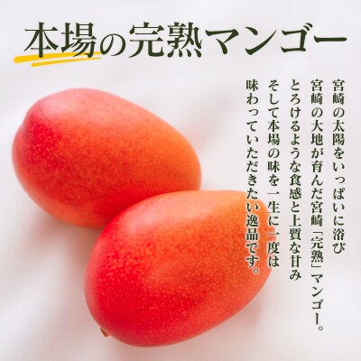 「南国宮崎からお届け」 完熟マンゴー2Lサイズ3個