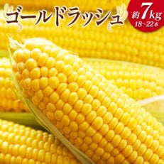 宮崎県産 南国宮崎育ち ゴールドラッシュ 約7kg(18本～22本)