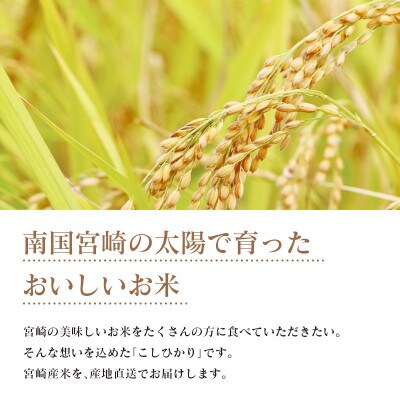 【新米】【無洗米】令和4年産宮崎県産こしひかり10kg(5kg×2袋)
