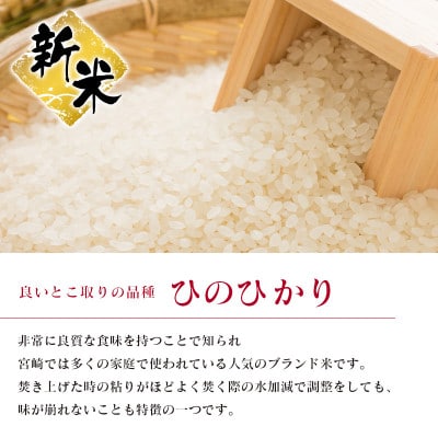 【無洗米】令和4年産宮崎県産ひのひかり10kg(5kg×2袋)