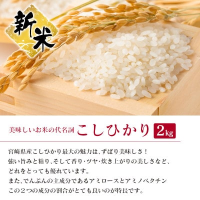 【無洗米】宮崎県令和4年産コシヒカリ・ヒノヒカリ食べ比べ4kgセット