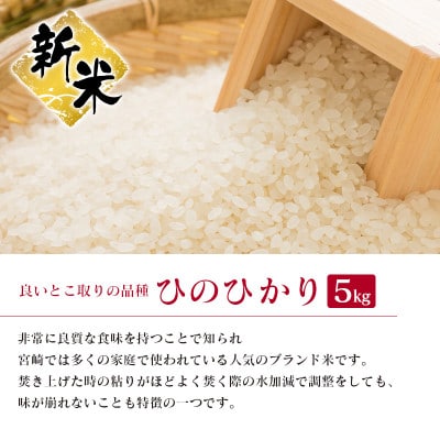 【無洗米】宮崎県令和5年産コシヒカリ・ヒノヒカリ食べ比べ10kgセット