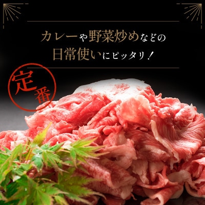 「訳あり」宮崎県産黒毛和牛 切落しスライス(500g×2パック)合計1kg