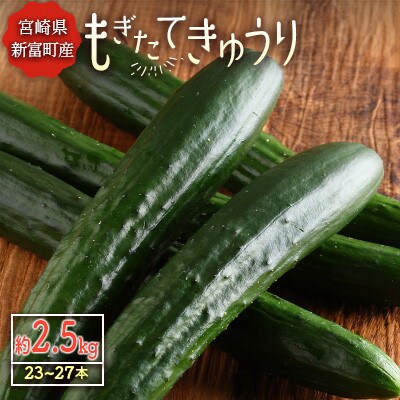 宮崎県 新富町産　児玉農園の「もぎたて」きゅうり2.5kg(23～27本)